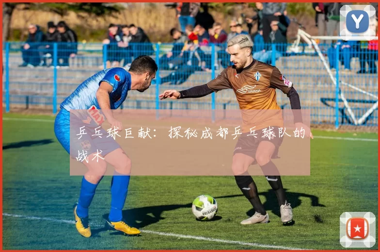 乒乓球巨献：探秘成都乒乓球队的战术