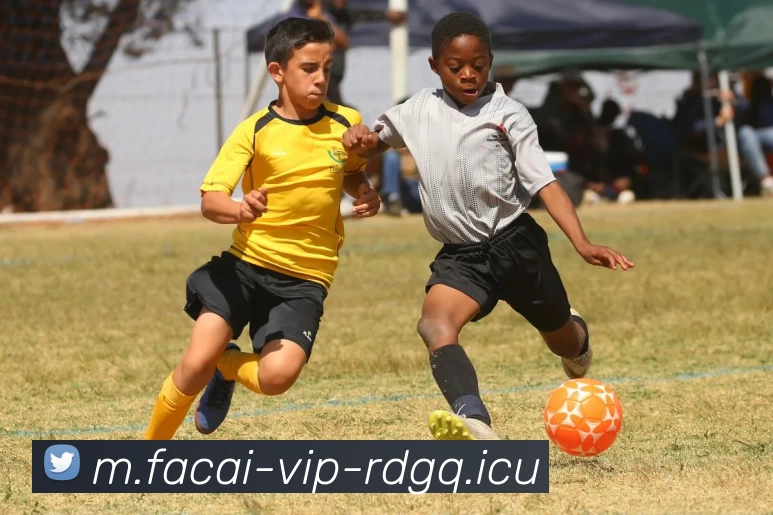 MK体育注册平台生态图